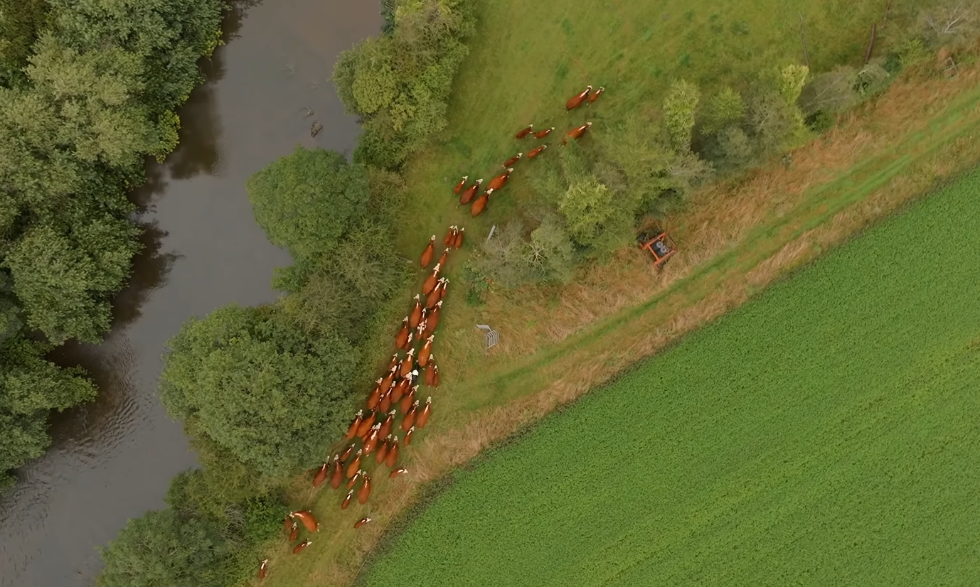 Hopnest Organic Farm, Worcestershire