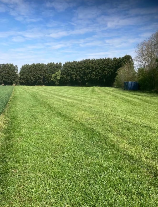 Mown campsite field at Hopnest with treeline and dry storage